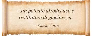 Citazione dal Kama Sutra: un potente afrodisiaco e restauratore della giovinezza – Kama Sutra