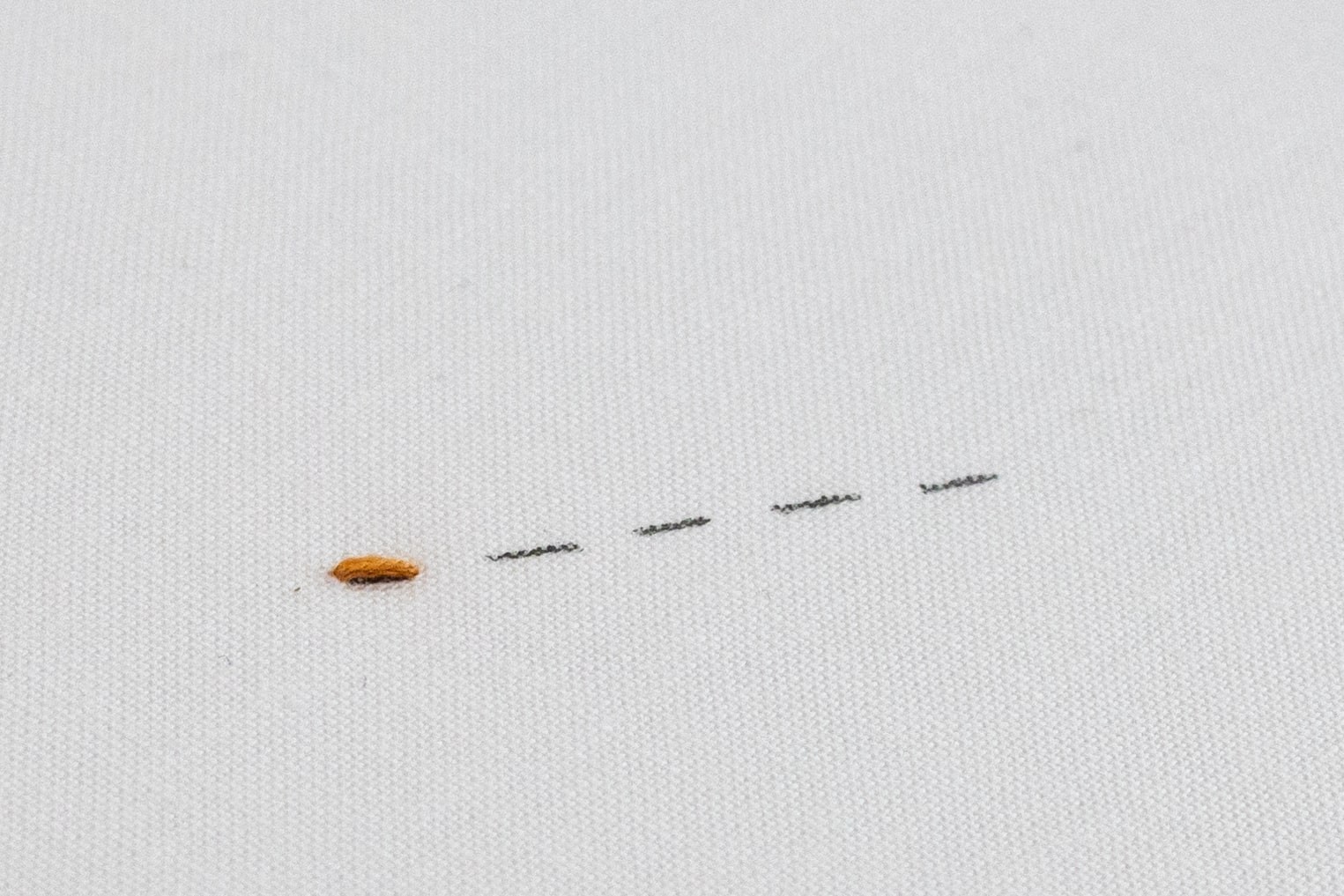 A stitch has been created on the marked fabric.