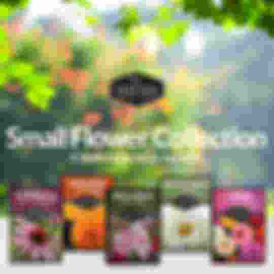 Small Flower Seed Collection - 5 heirloom seed packets