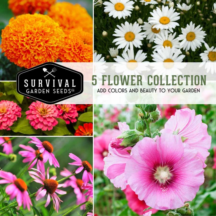 5 Flower Collection - 5 Packs of Heirloom Fl.ower Seeds