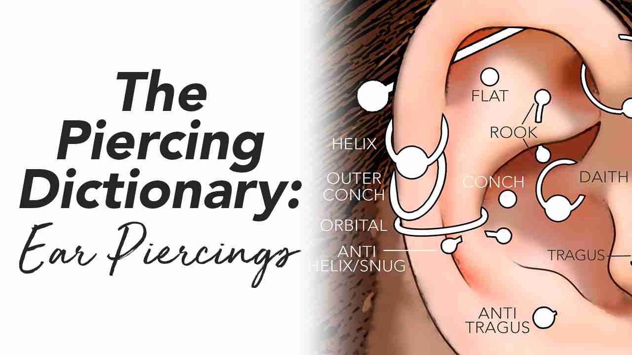The Piercing Dictionary: Nose Piercings – BodyCandy