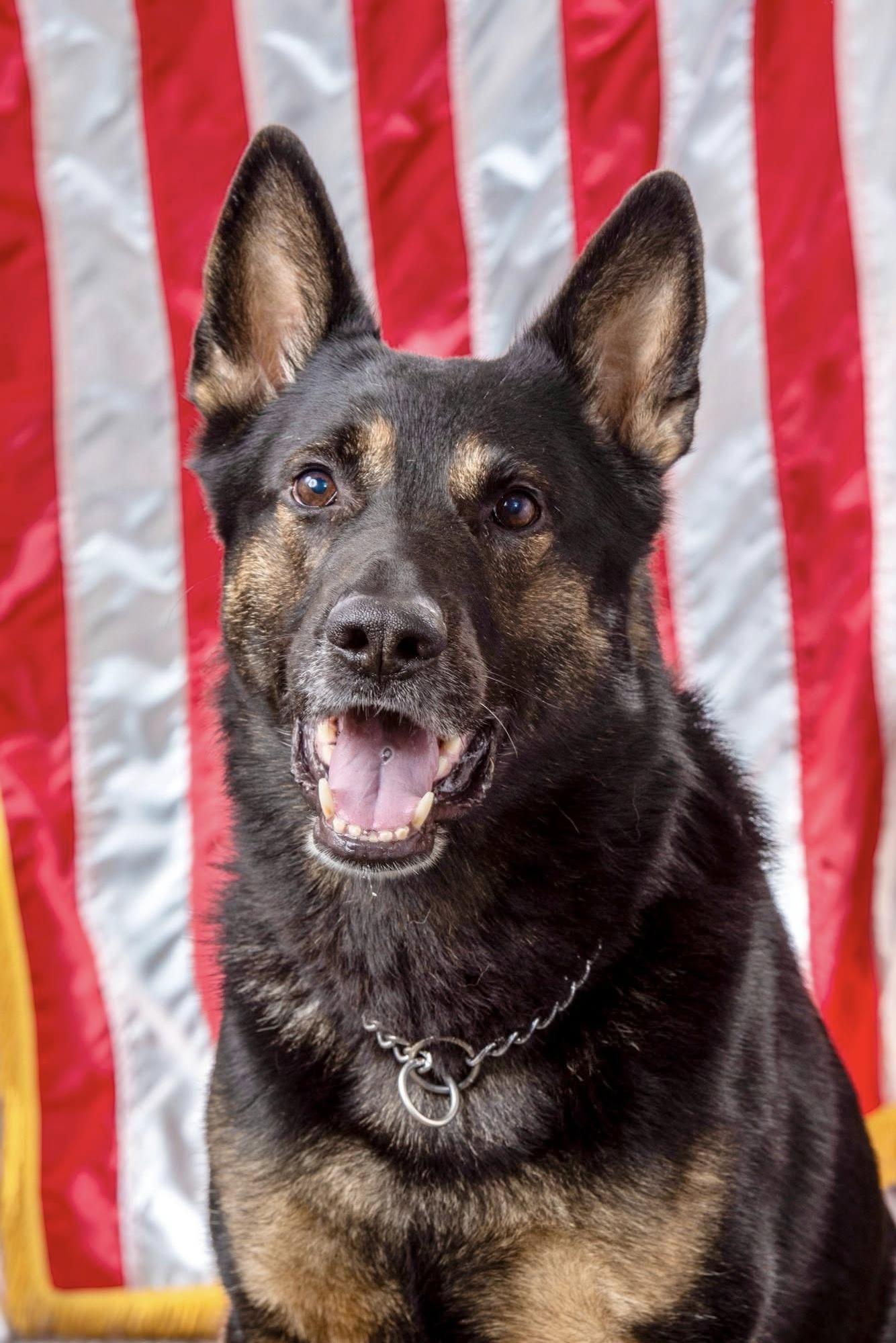 k9 appie eow