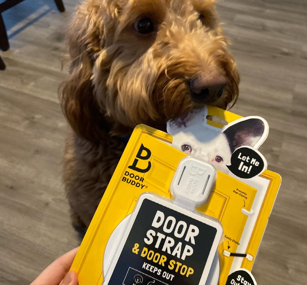 A dog holds unopened Door Buddy door strap packaging in its mouth. The image highlights the Door Buddy cat door strap as a simple solution that keeps dogs out of a room while still allowing cats to pass through easily.
