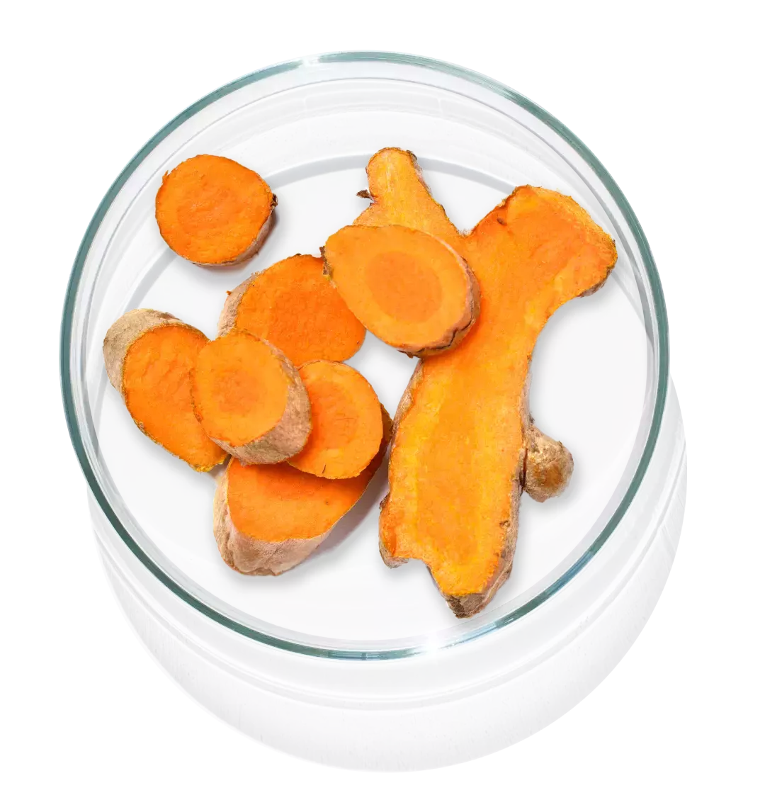 The image shows Apricot which is one of the ingredients in Cleanser
