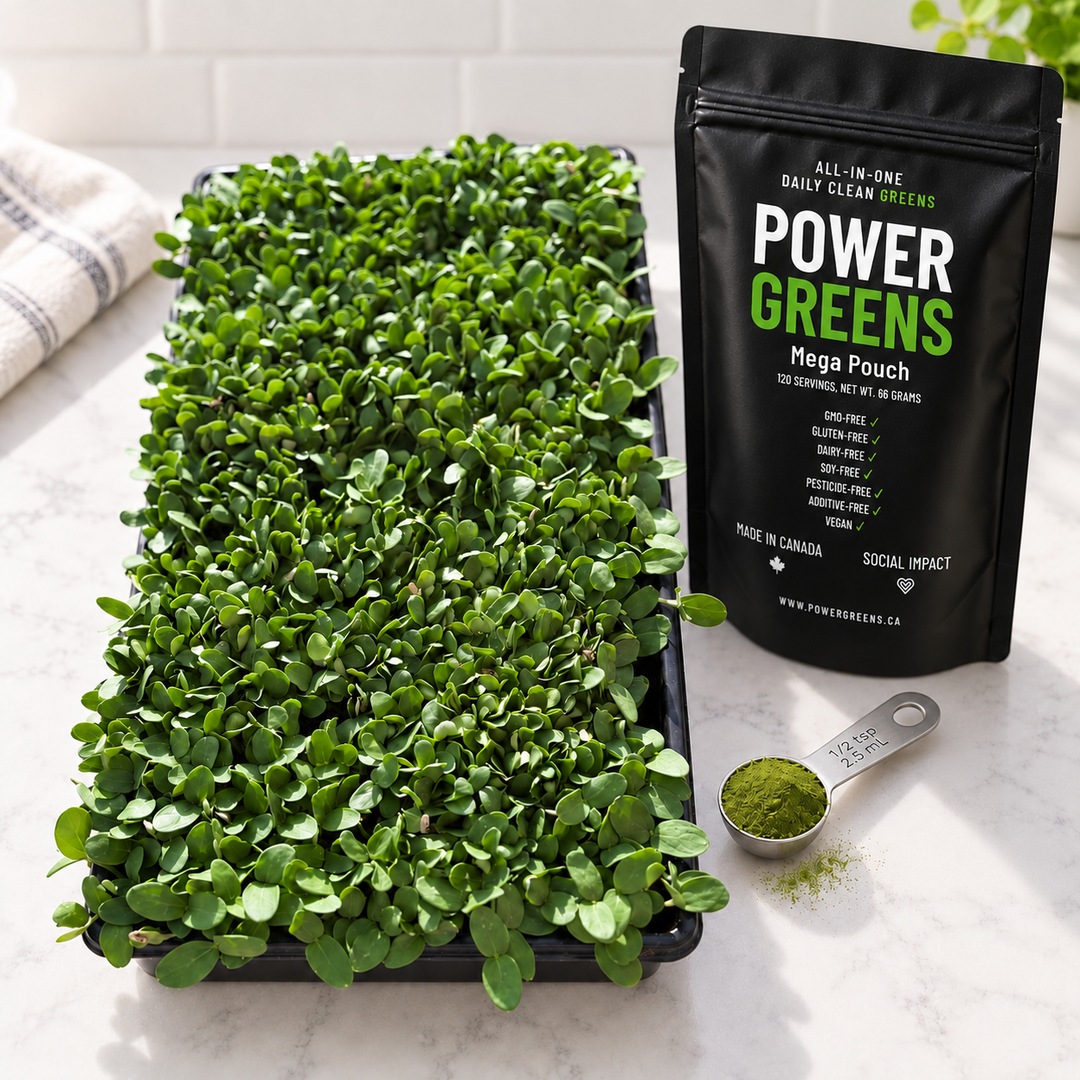Power Greens – Freeze-Dried Microgreens