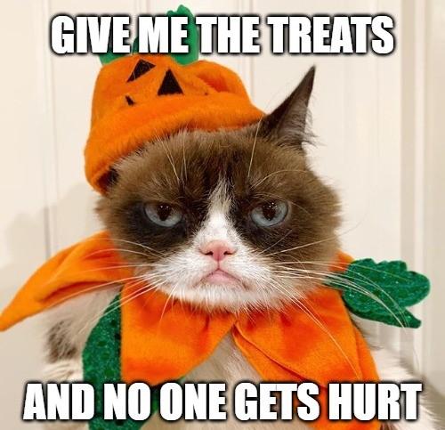 50% Off Your Order - Use coupon code: TREAT50