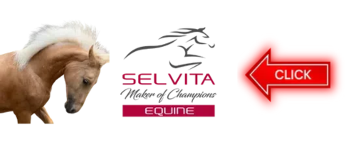 Selvita Equine Right Arrow