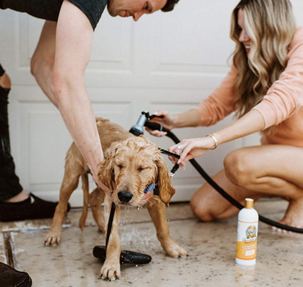 How Often Should I Wash My Dog? FurryFreshness Premium Stain and Smell Remover