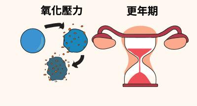 Oxidative stress and menopause