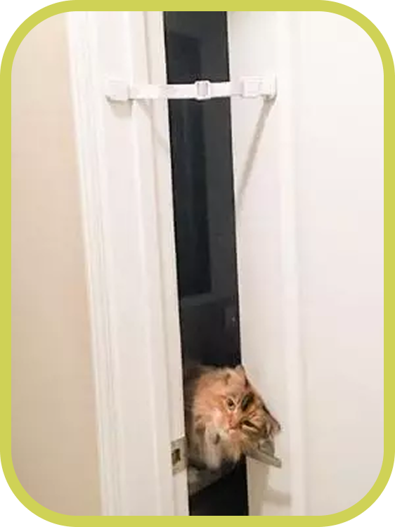 A fluffy cat squeezes through a partially open door secured by The Door Buddy door strap. The adjustable strap keeps children out of the room while still allowing cats to pass through easily.