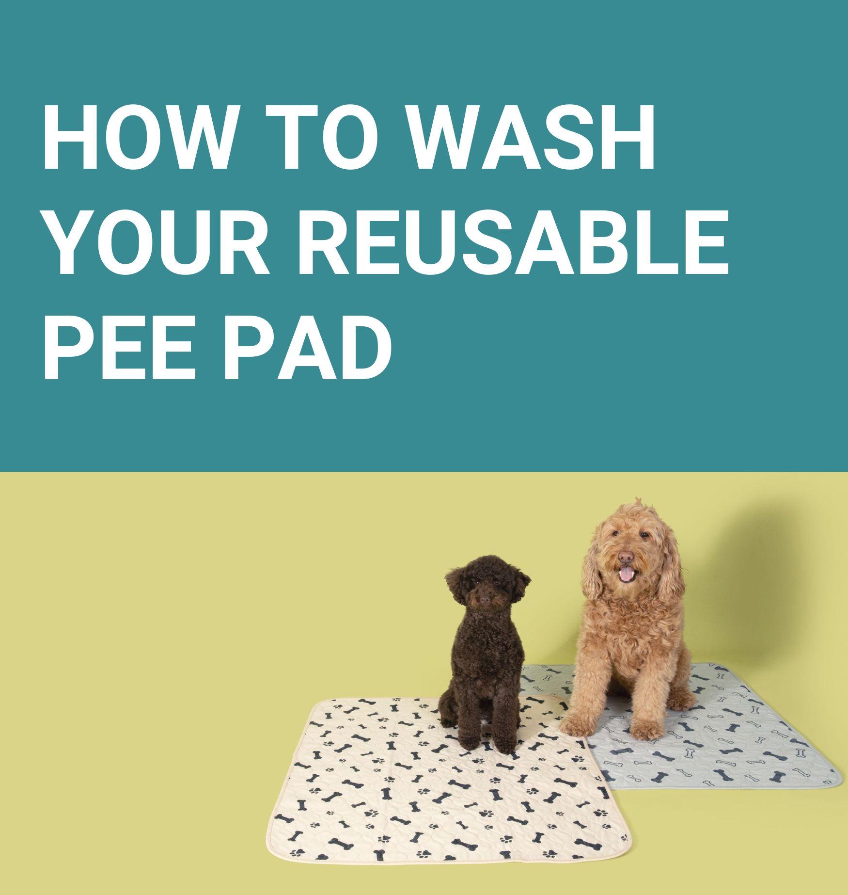 How to Wash Your Reusable Pee Pad Potty Buddy™