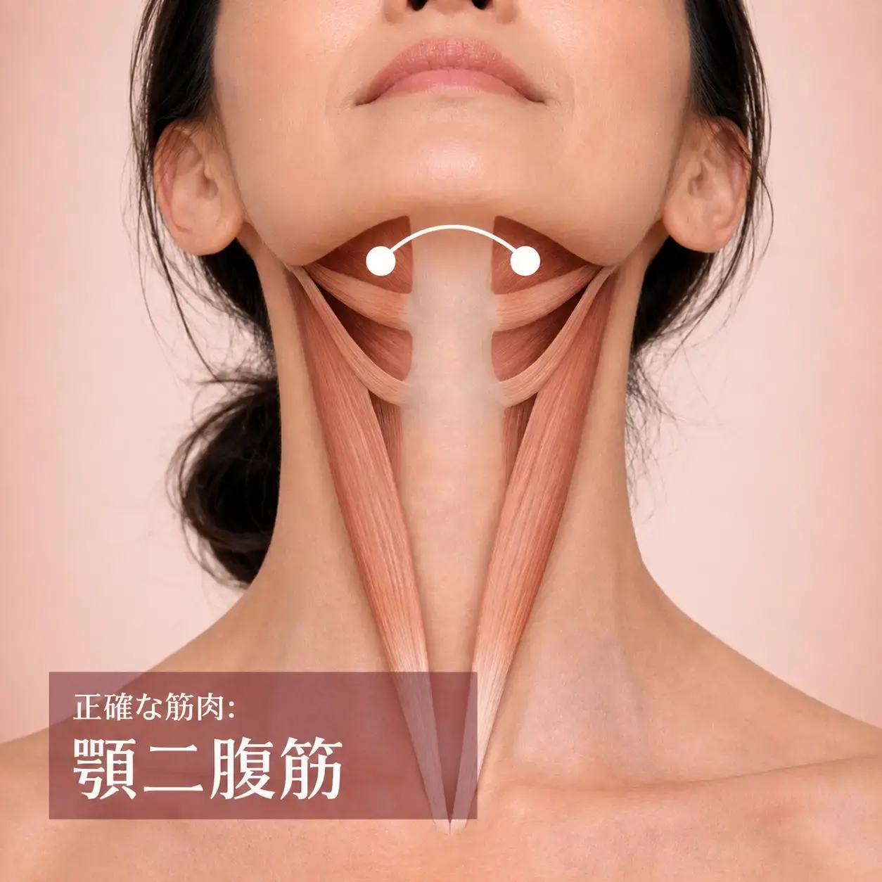 Women showing digastric Muscle