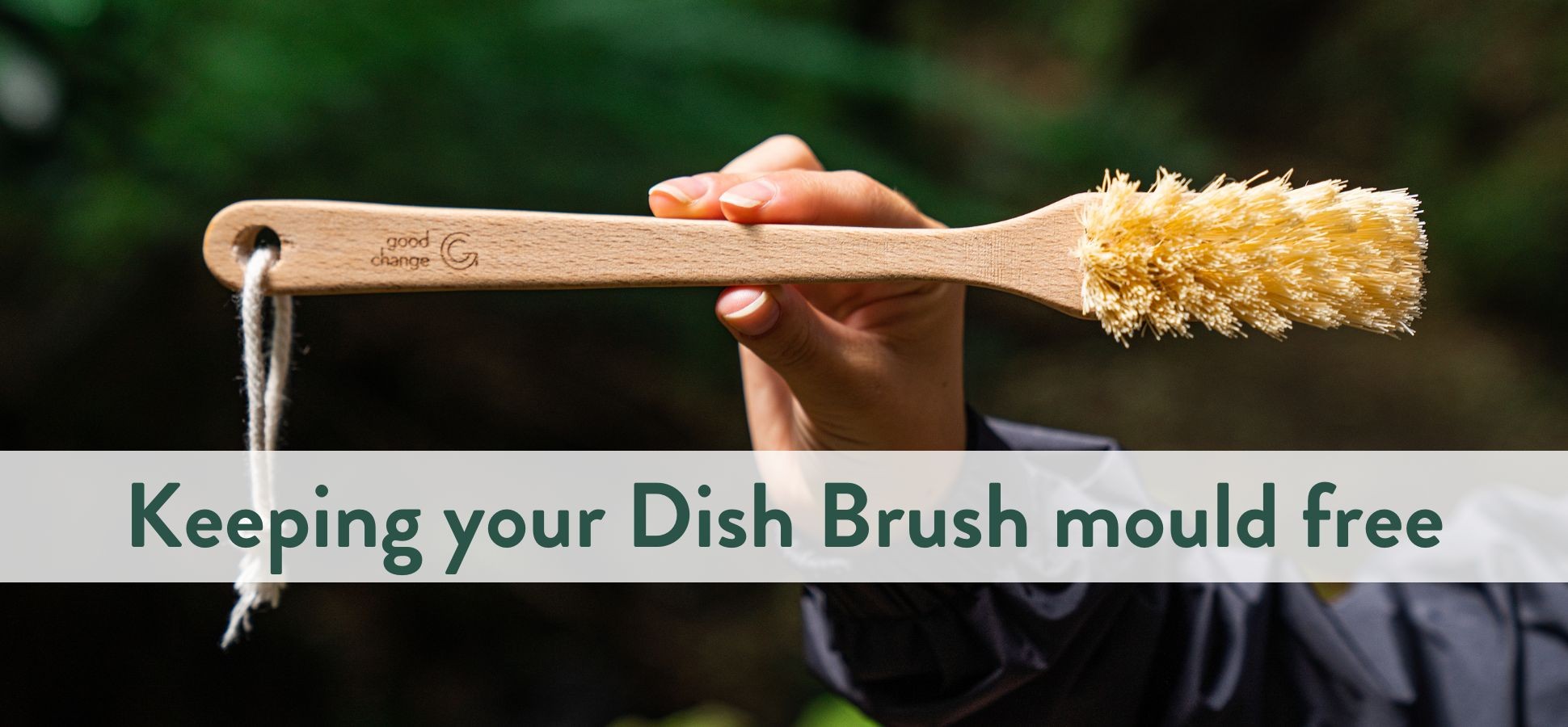 Refill Kitchen Brush Natural Dish Brush Refill Brush Pot 