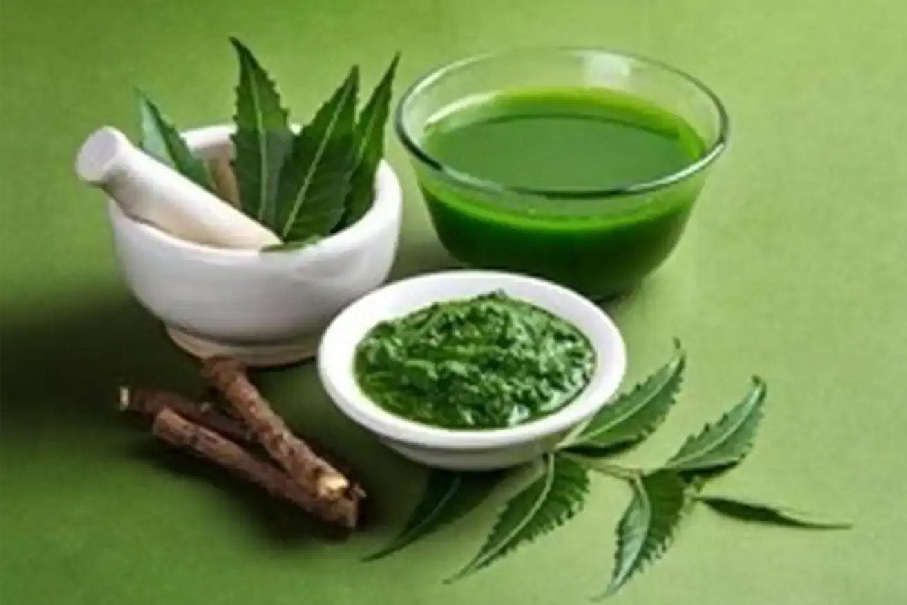 Azadirachta Indica (Neem) Leaf Extract