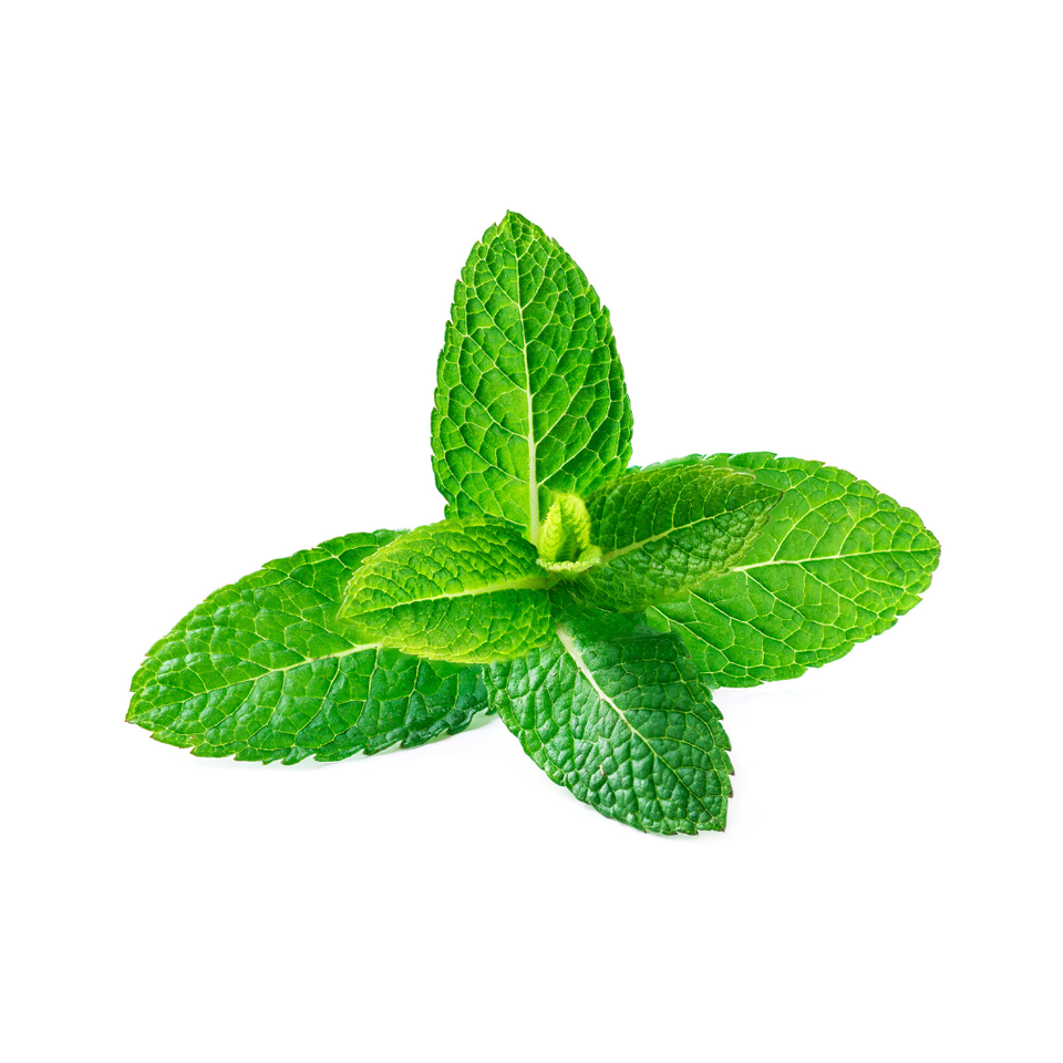 spearmint leaves