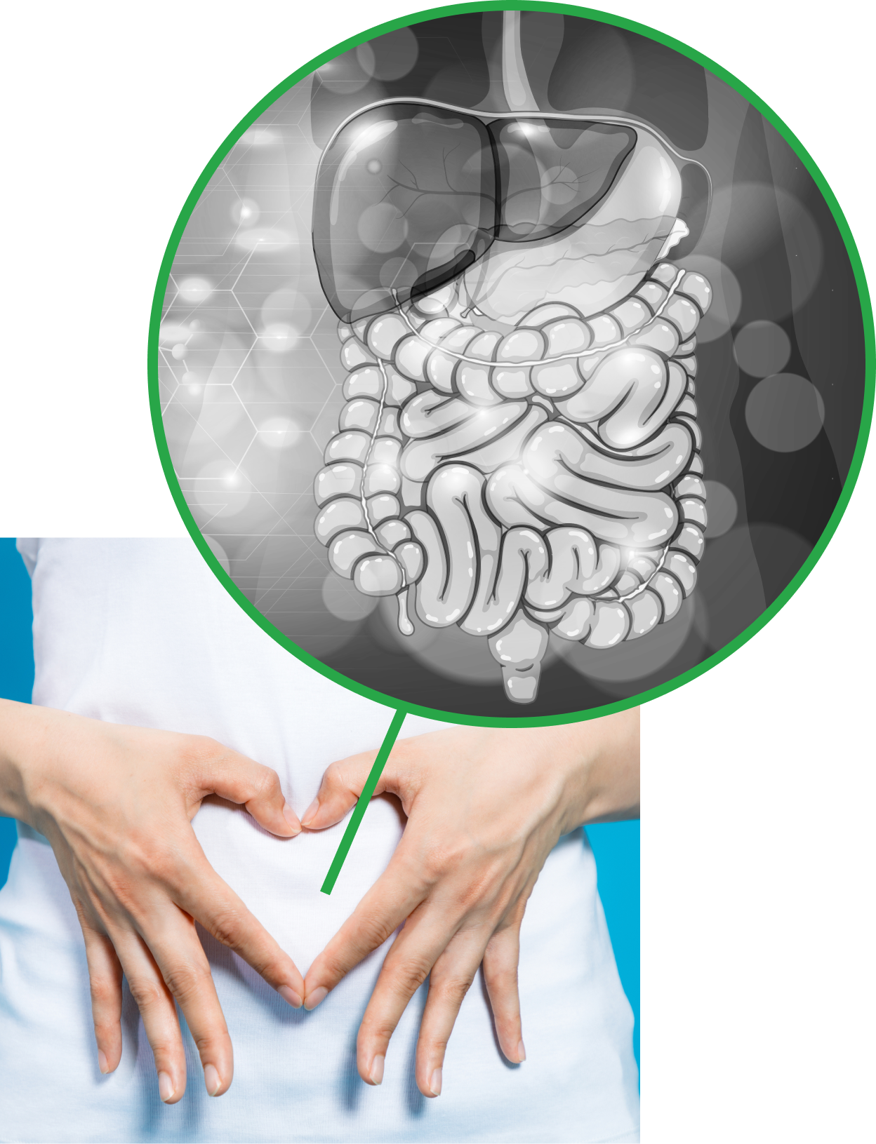 Where Real Gut Health Begins