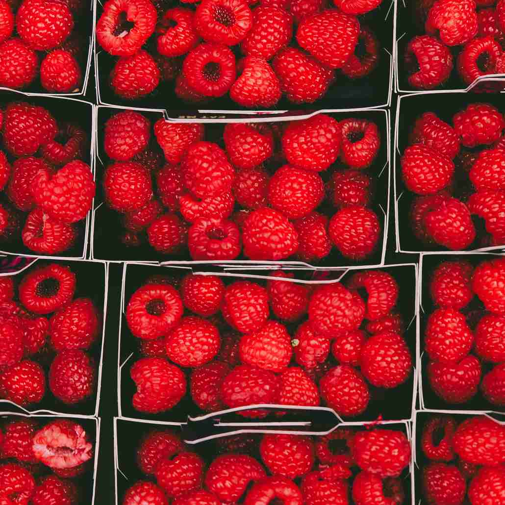 Bunch of raspberries