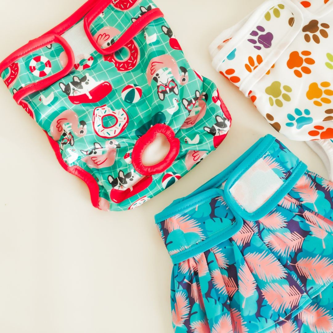 Potty Buddy dog diapers and skirts