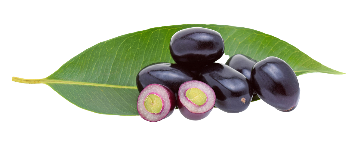 Black Plum