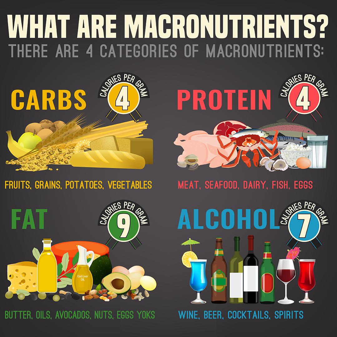 macronutrients complete wellness