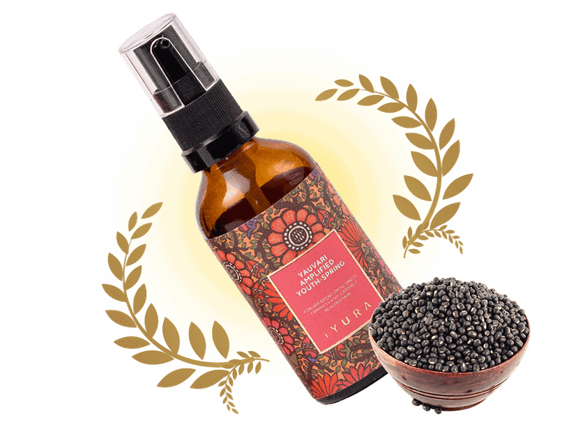Yauvari bottle with black gram