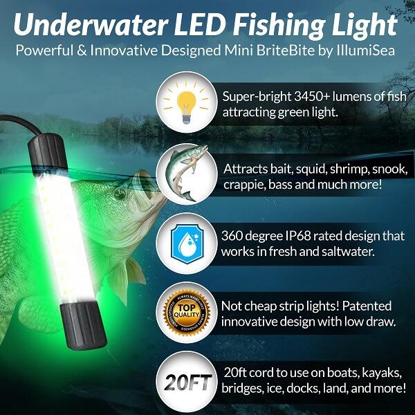 Green Underwater Submersible Night Fishing Light Boat Attract Fish LED 12V  US