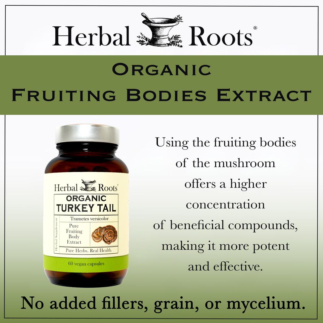 Organic fruiting bodies extract