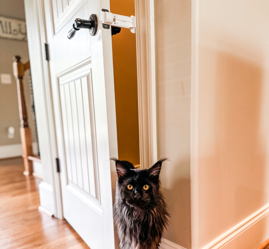 A fluffy black cat walks through a partially open door held in place by The Door Buddy adjustable door prop. The door prop creates a small opening that allows the cat to pass through easily while helping keep dogs and babies out of the room.
