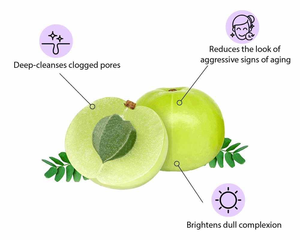 #1 DERMATOLOGISTS ARE SO OBSESSED WITH THIS SKIN-BRIGHTENING POWERHOUSE: AMLA FRUIT EXTRACT 