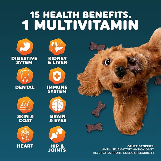 Multivitamin – Primova Pet Products