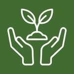 Planting Your Garden