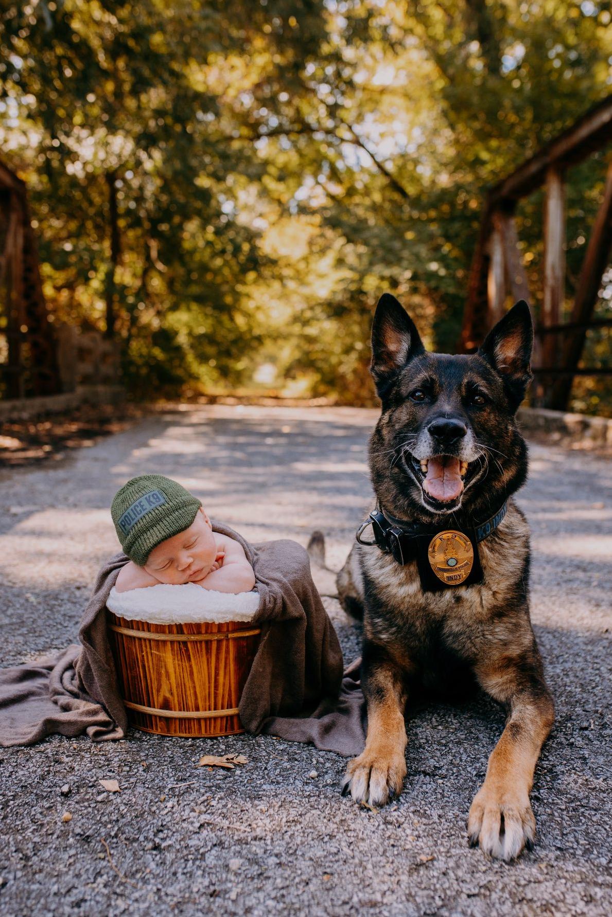 k9 indy with baby in a basket