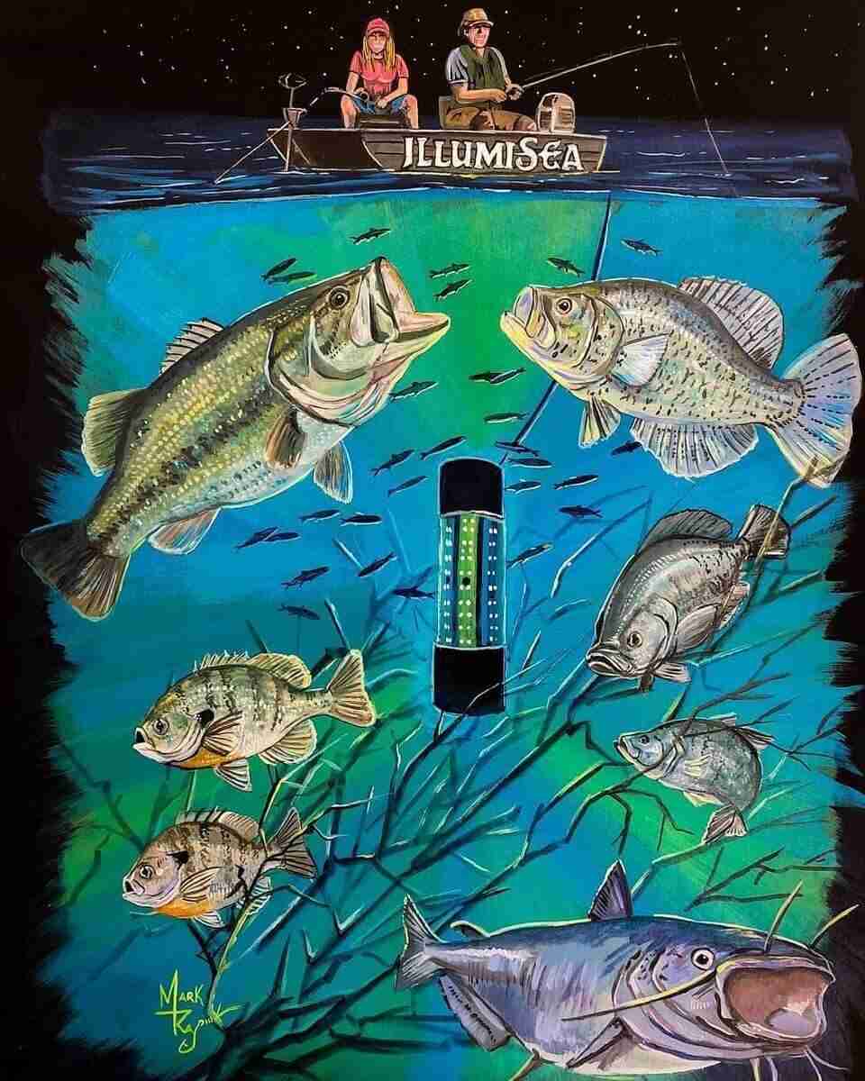 underwater fishing lights blue green