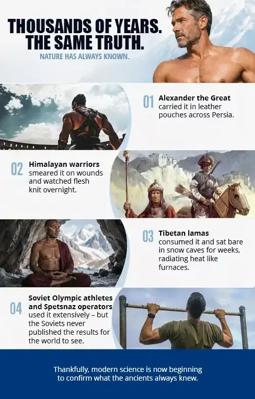 Historical uses of shilajit by warriors, athletes and Tibetan lamas
