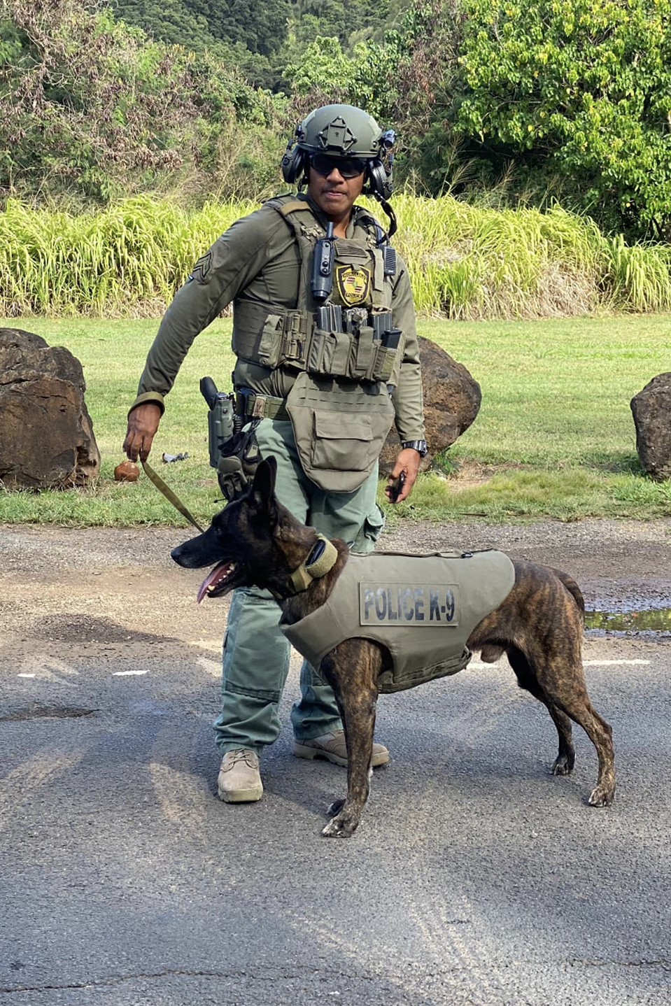 k9 odin 305