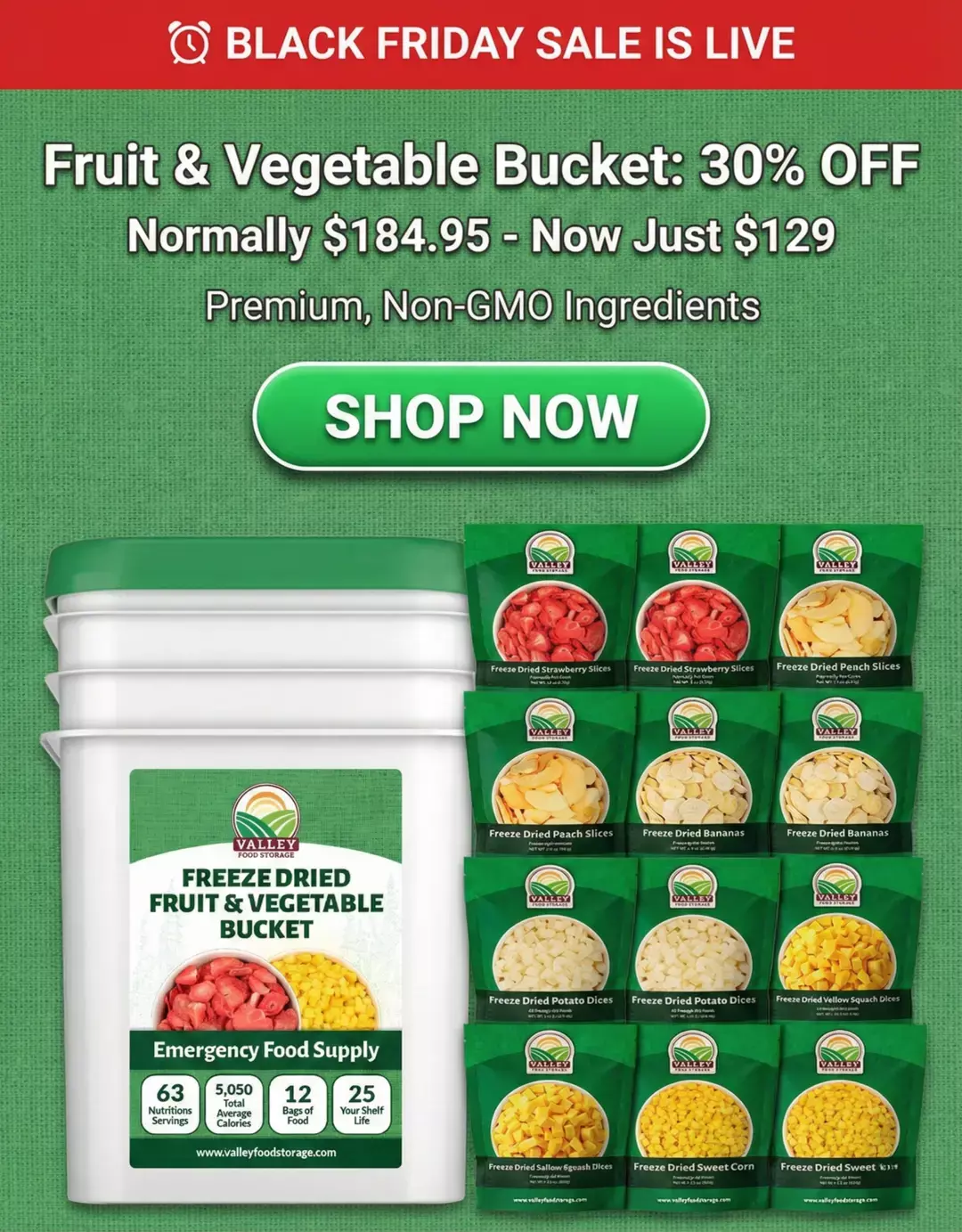 Valley Food Storage freeze-dried fruit and vegetable buckets displayed with assorted prepared servings in a Black Friday promotion banner.