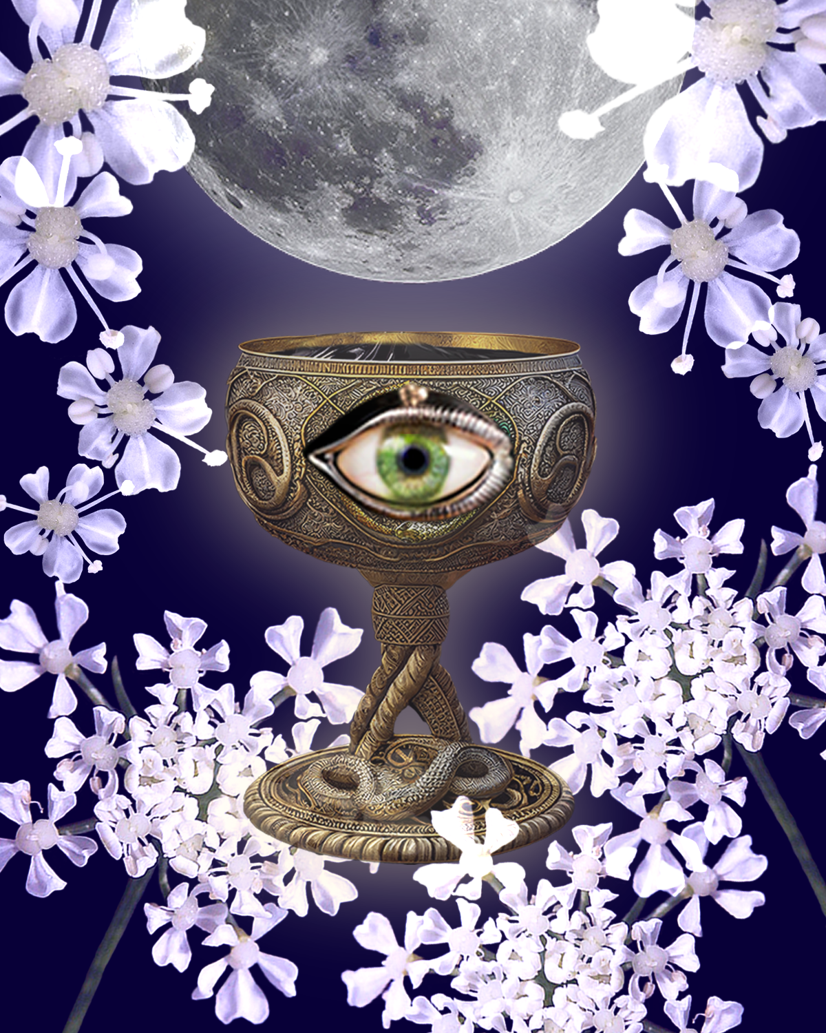 Hemlock's chalice of black shiny poison