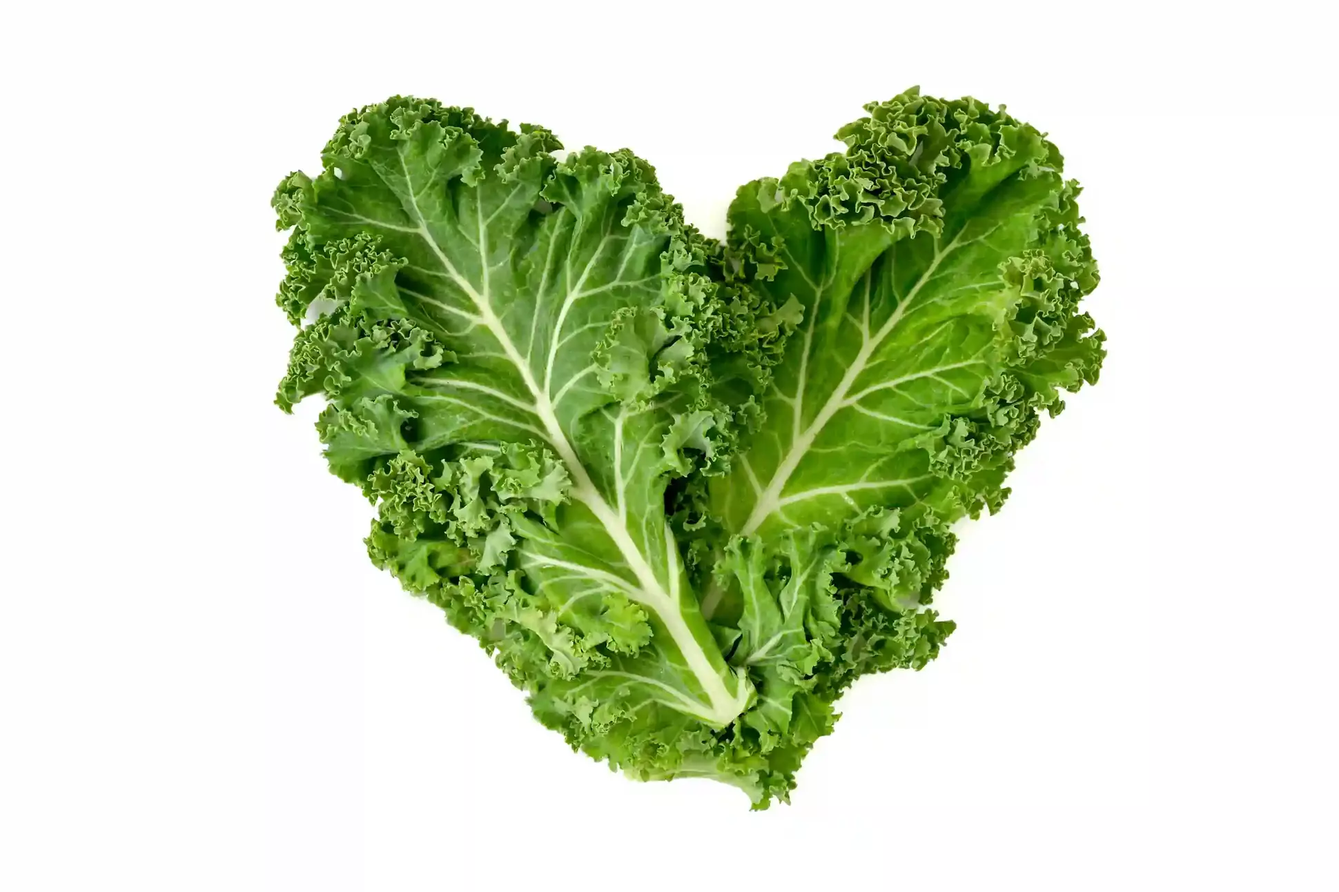 Kale leaf