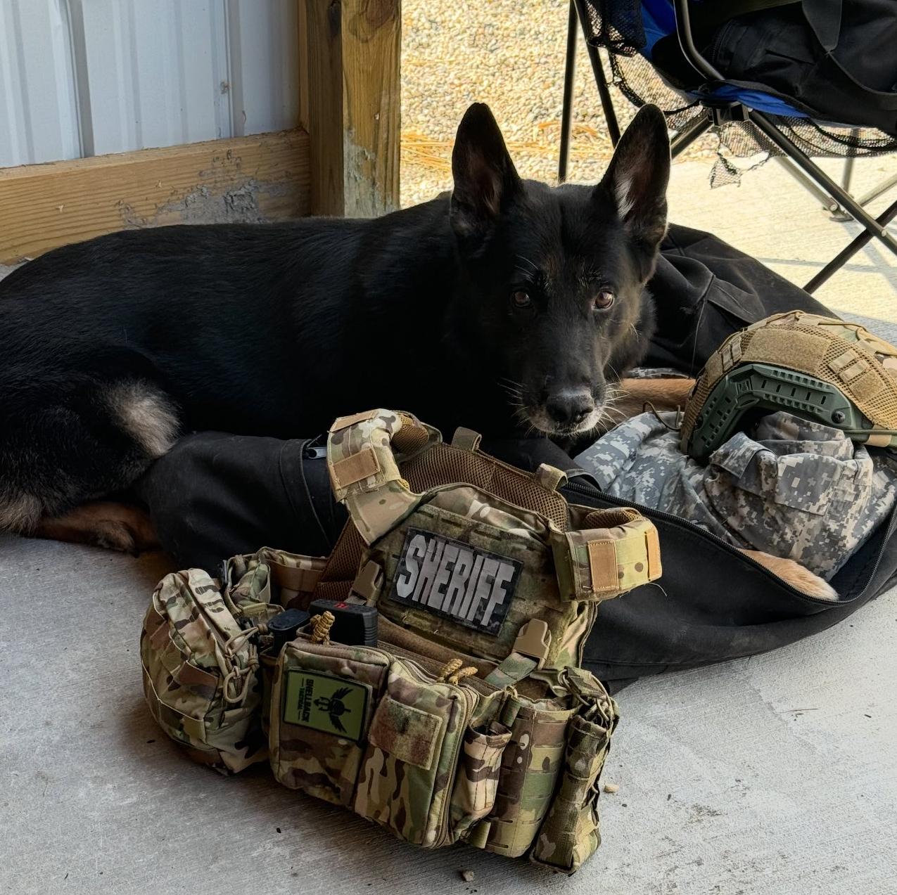 k9 axel