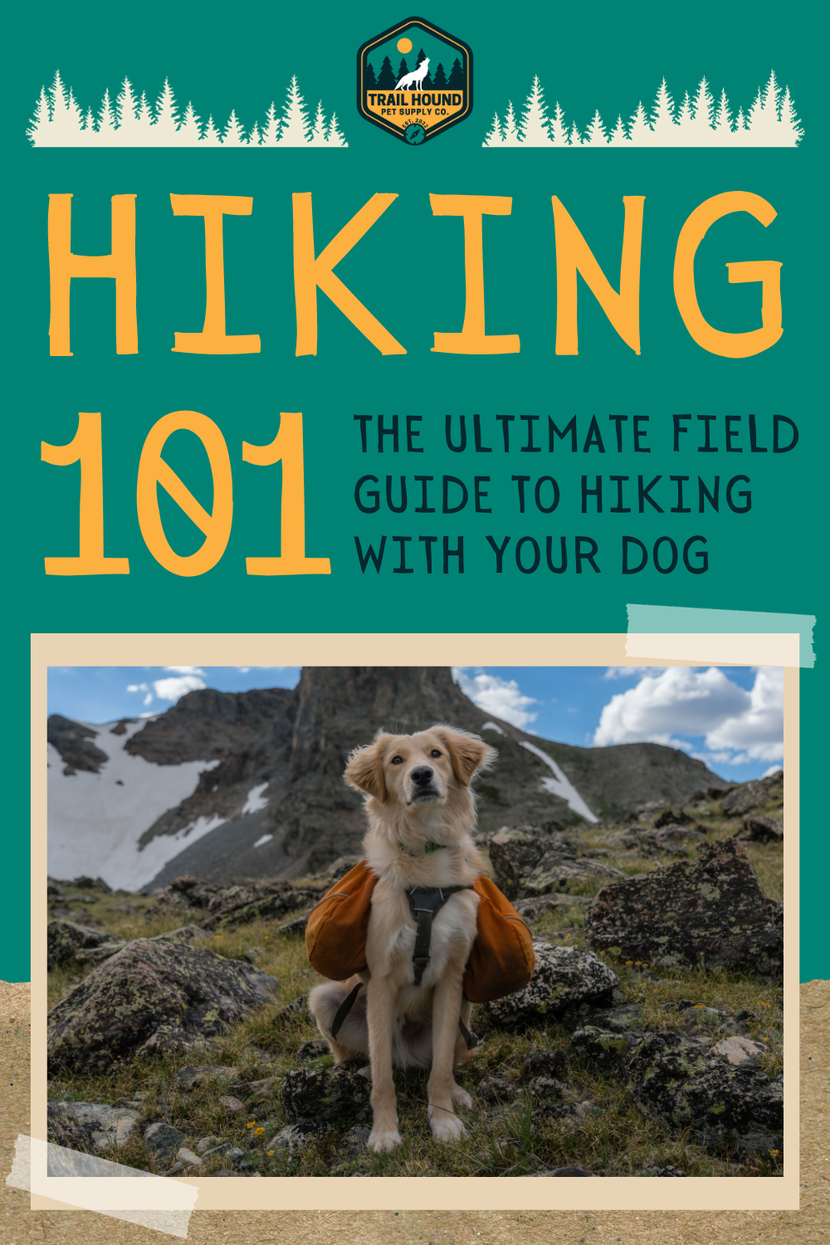 Hiking With Your Dog 101: The Ultimate Guide To Hiking With Your Dog