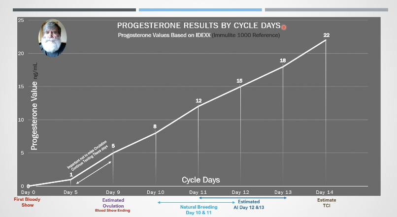 dog progesterone levels chart