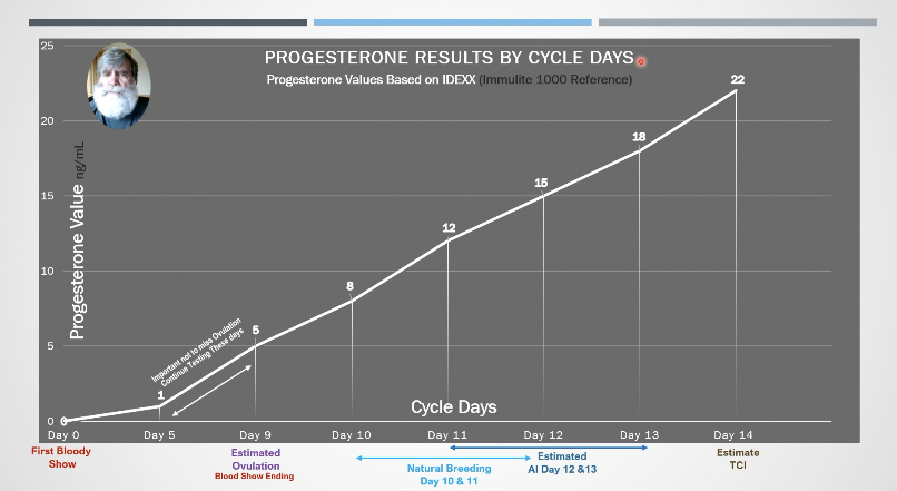 What is the best progesterone hot sale level to breed a dog