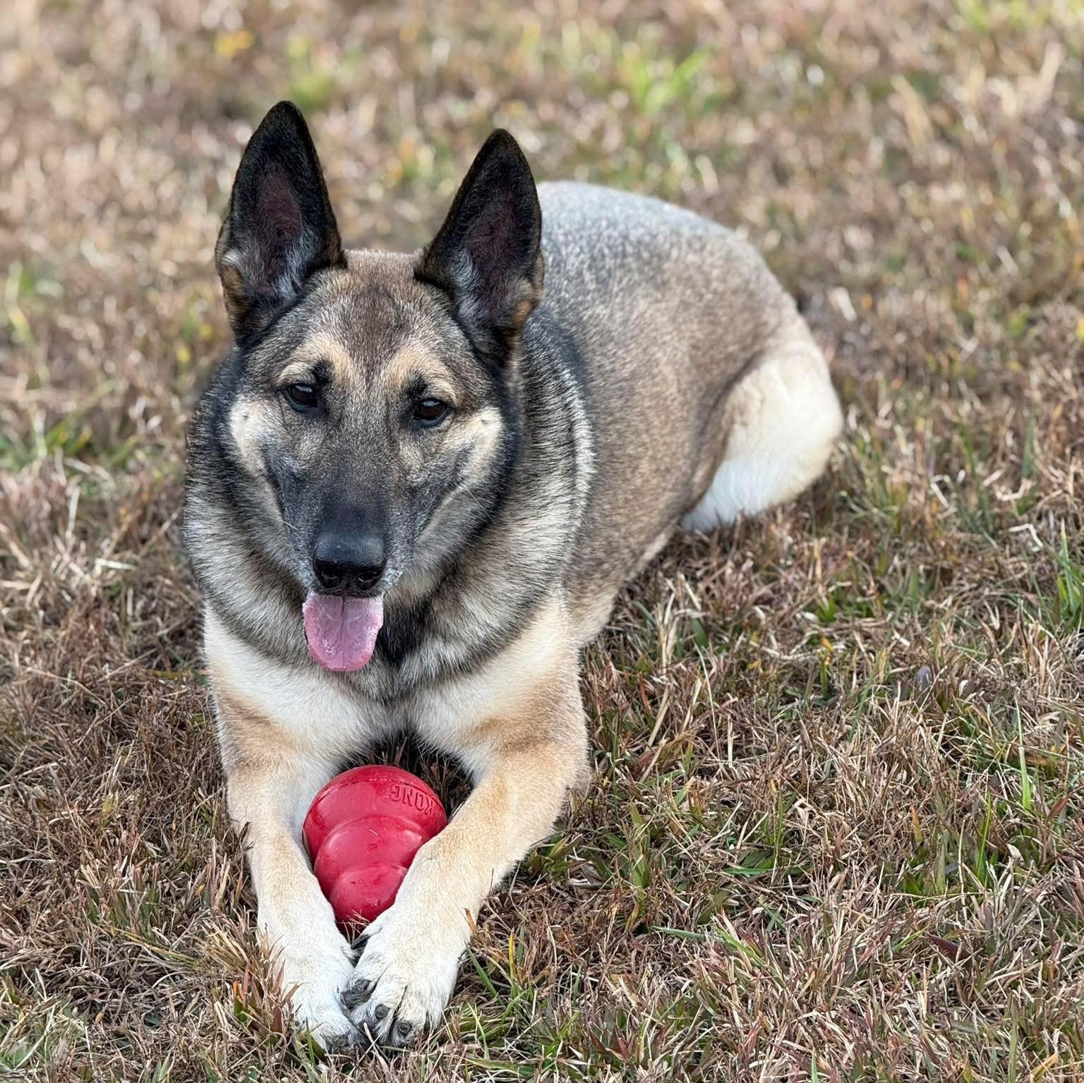 mwd adri smiling