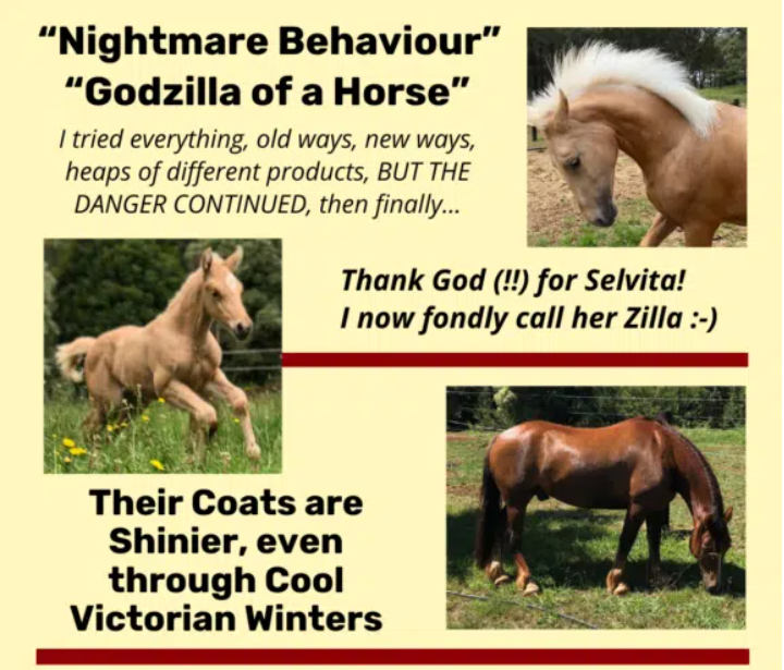 Selvita Equine Testimonials