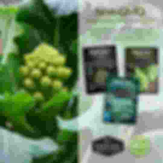 non-gmo non-hybrid heirloom broccoli seeds