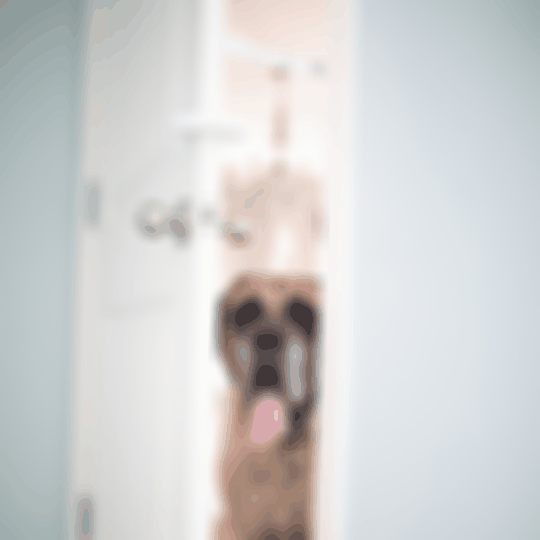 Dog & Baby Proofing the Litter Box Made Easy with Door Buddy