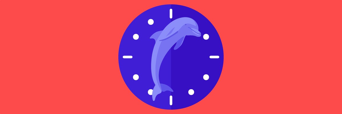 A dolphin at the center of a clock represents the dolphin chronotype schedule.