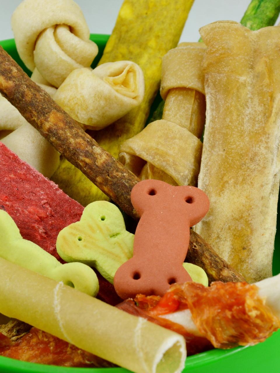 dog snack in green bowl