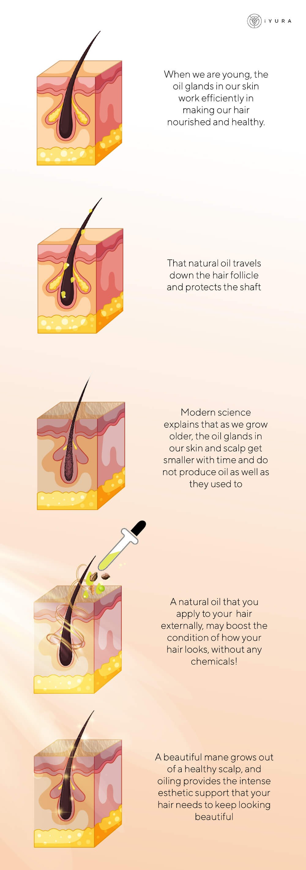 Interestingly, modern science explains that as we grow older, the oil glands in our skin and scalp get smaller with time and do not produce oil as well or as efficiently as they did in our youth.