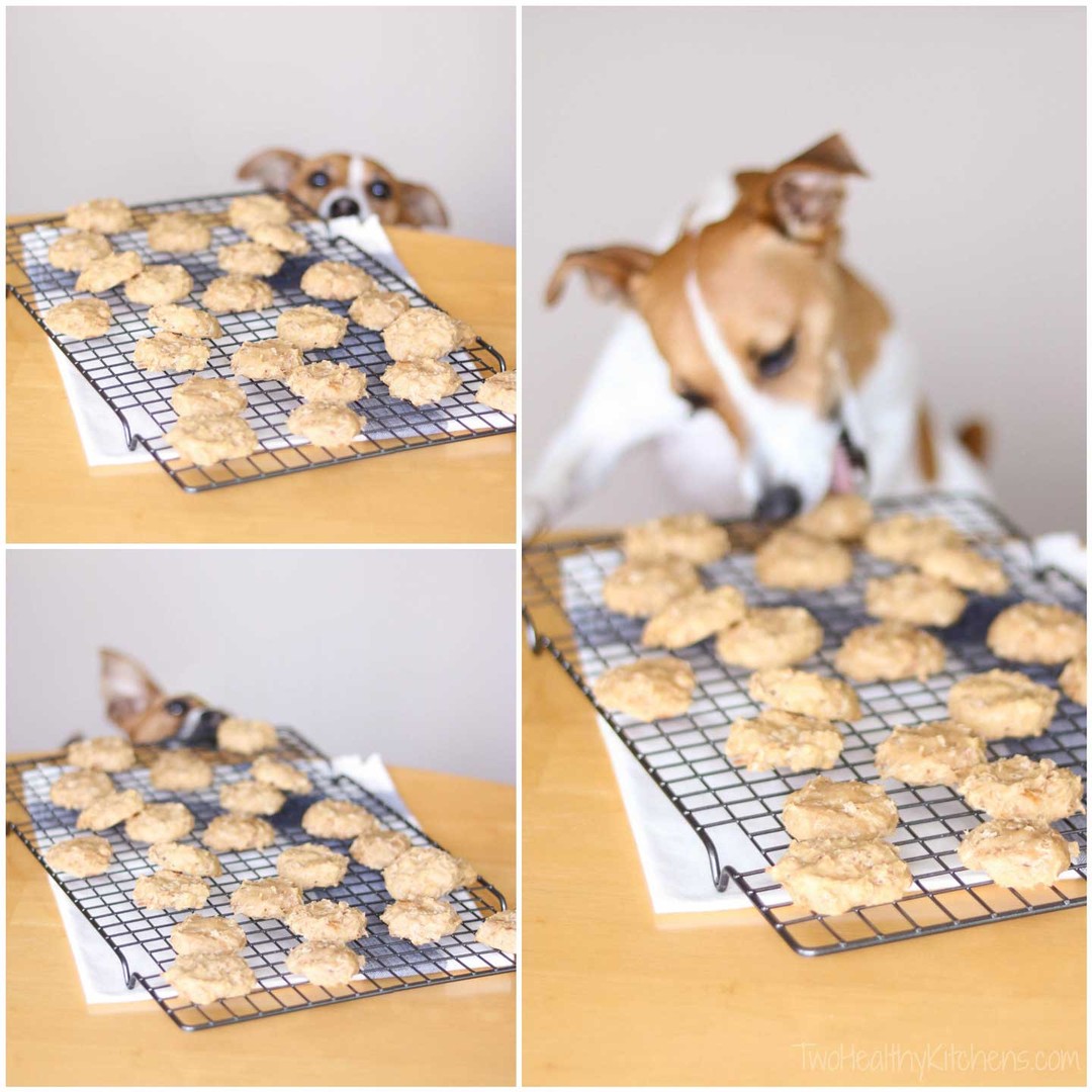 Dog sneaking and eating the cooling cookies